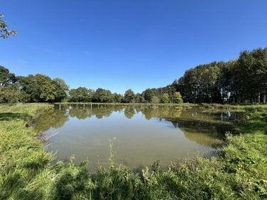 Terrain de loisirs - Bois - Etang à vendre à Caulnes dans les Côtes-d'Armor (22350), ref : 22044-3800