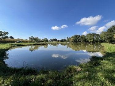 Terrain de loisirs - Bois - Etang à vendre à Caulnes dans les Côtes-d'Armor (22350), ref : 22044-3800