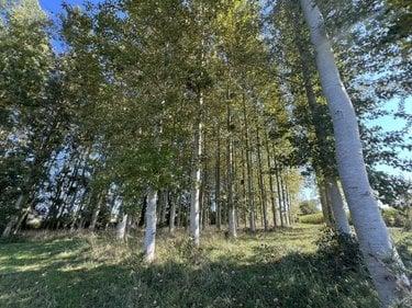 Terrain de loisirs - Bois - Etang à vendre à Caulnes dans les Côtes-d'Armor (22350), ref : 22044-3800