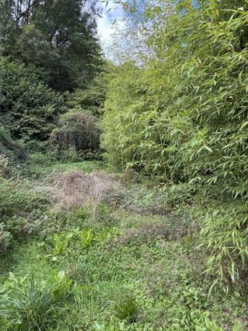 Divers à vendre à Coupiac dans l'Aveyron (12550), ref : 12051-9