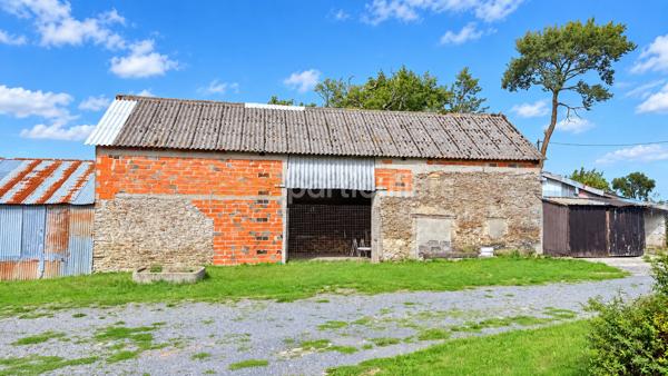 Vente
                Maison81,85 m² - 4 Pièces -
                    SAINT GEORGES D ELLE (50680)