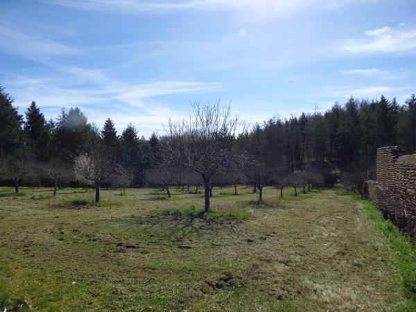 Maison de maître de 300 m² sur terrain 13540 m², 4 chambres, gîte