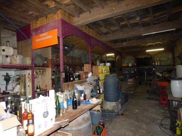 Maison de maître de 300 m² sur terrain 13540 m², 4 chambres, gîte