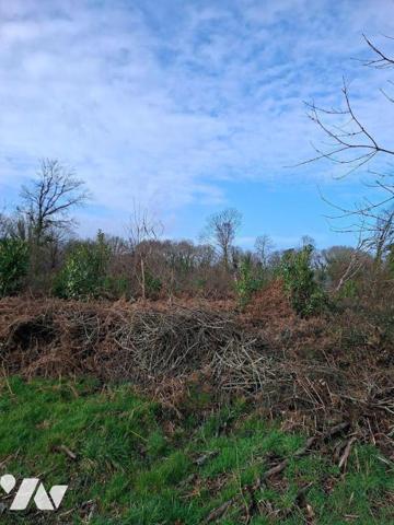 Parcelle d'un seul tenant de 6 ha 17 a 17ca - bois à replanter sur une partie