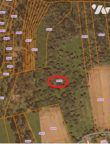 Parcelle d'un seul tenant de 6 ha 17 a 17ca - bois à replanter sur une partie