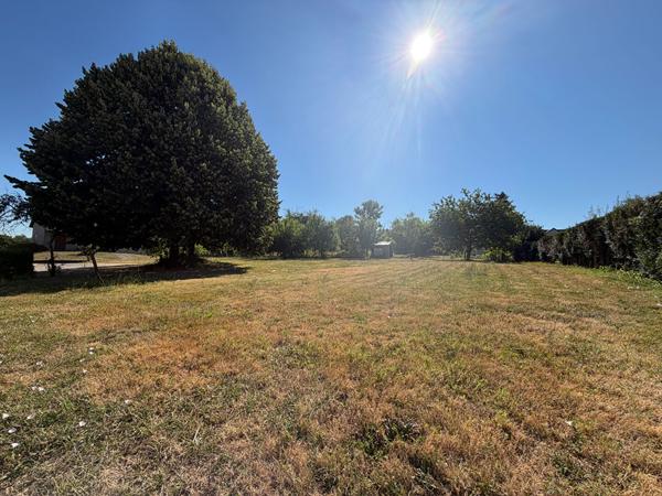 Terrain Lux 1215 m2