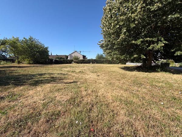 Terrain Lux 1215 m2
