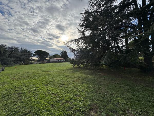 Graulhet. Terrain plat de 1295 m2