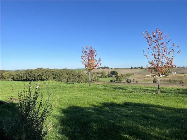 Maison à vendre |  Lévignac-de-Guyenne |  6 pièces | 196 m²