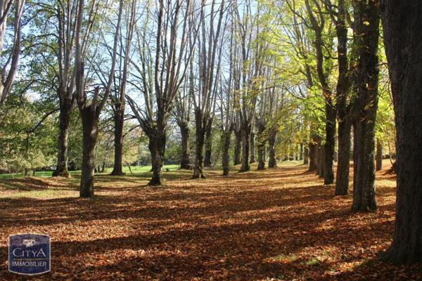 Demeure à vendre 21 pièces 580m²