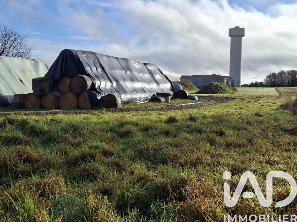 Terrain à vendre 1 000 m² Les Pins