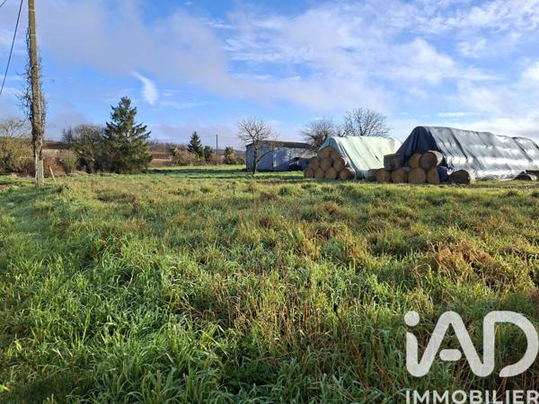 Terrain à vendre 1 000 m² Les Pins