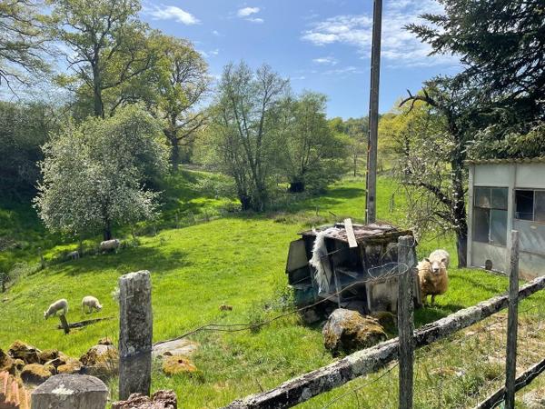 Corps de ferme avec 12 hectares- fort potentiel  dans un secteur calme et verdoyant  Creuse