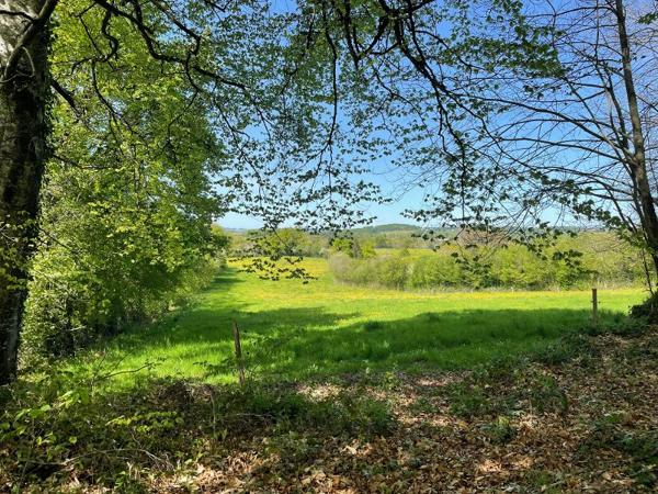 Corps de ferme avec 12 hectares- fort potentiel  dans un secteur calme et verdoyant  Creuse