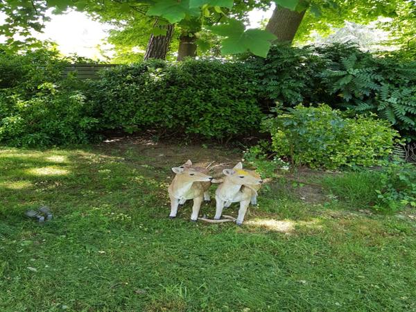 Maison Neuville-sur-Oise 7 pièces 175 m2