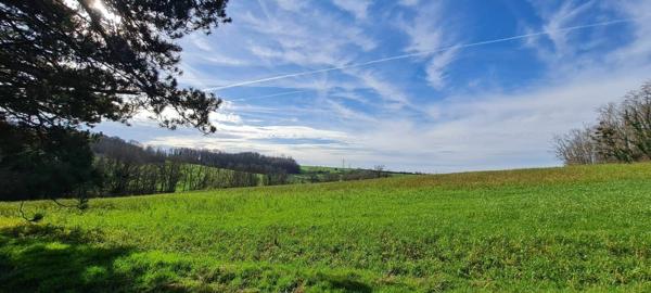 Maison à vendre    7 pièces • 325 m2 La Ferté-sous-Jouarre