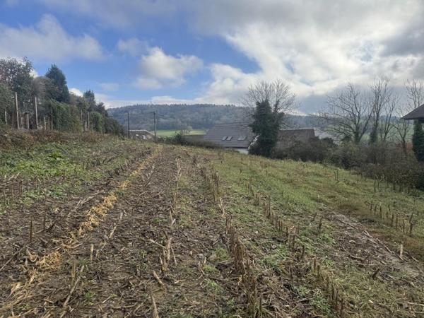 Vente / Terrain constructible