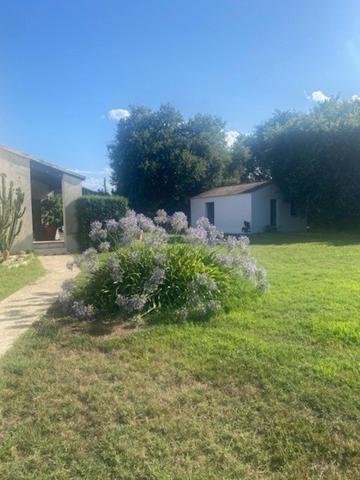 Maison 145m2 hors lotissement Sorbo Ocagnano