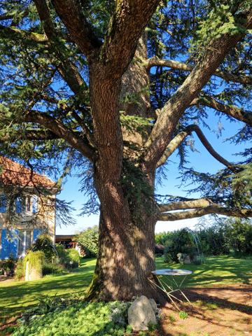Sistels (82340) Maison en pierre classique avec vue, dépendances, environ 2ha de terrain