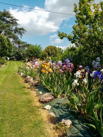Sistels (82340) Maison en pierre classique avec vue, dépendances, environ 2ha de terrain