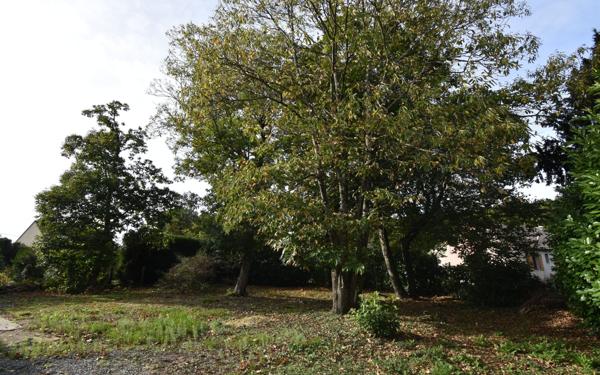 Maison à vendre    4 pièces •  Saint-Satur