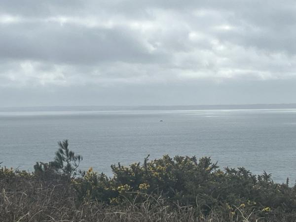 Terrain à vendre |  Crozon |  731 m²