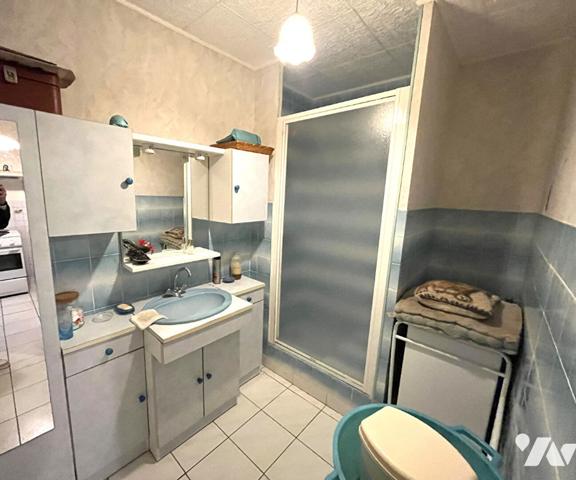 ENSEMBLE IMMOBILIER DEUX MAISONS INDÉPENDANTES VAUDELNAY  8 KM DE MONTREUIL-BELLAY