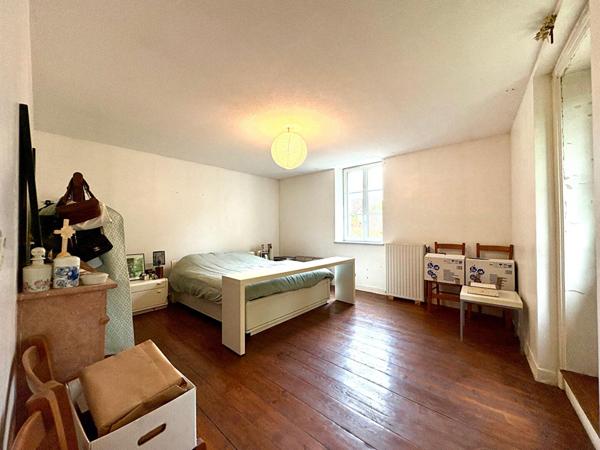 Moulin de caractère avec sa garçonnière et ses dépendances sur plus de 2 hectares en plein coeur de Saint-Amour