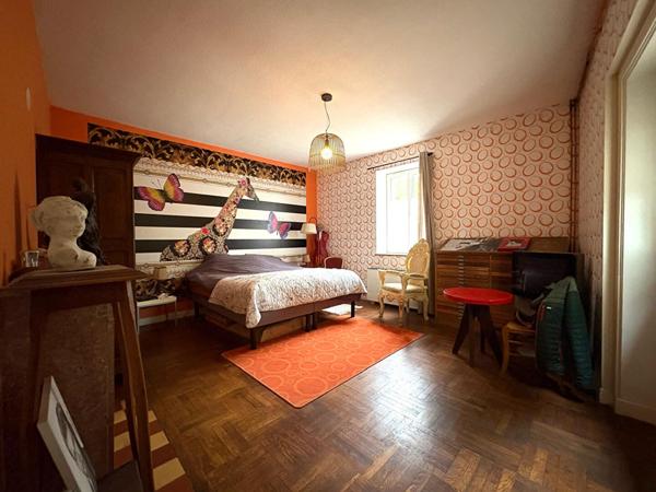 Moulin de caractère avec sa garçonnière et ses dépendances sur plus de 2 hectares en plein coeur de Saint-Amour