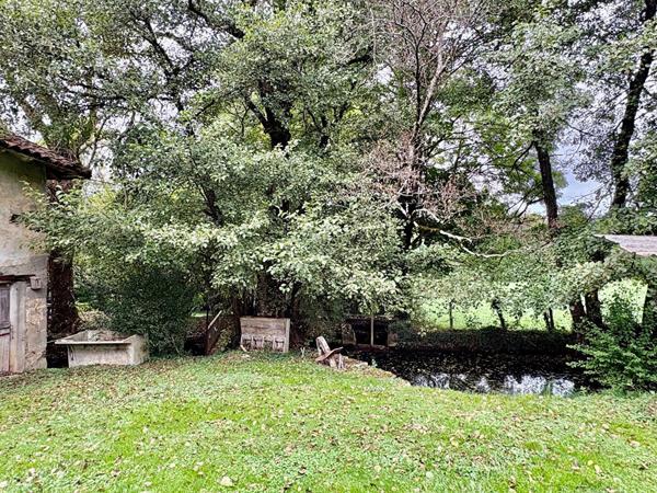 Moulin de caractère avec sa garçonnière et ses dépendances sur plus de 2 hectares en plein coeur de Saint-Amour