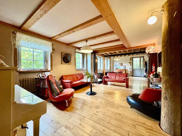 Moulin de caractère avec sa garçonnière et ses dépendances sur plus de 2 hectares en plein coeur de Saint-Amour