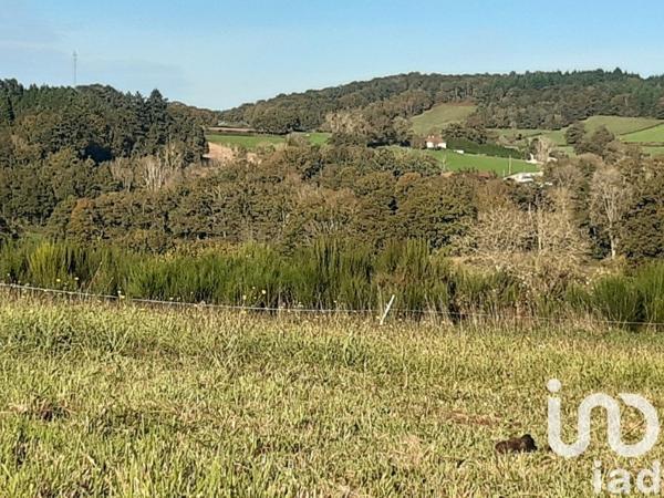 Maison rustique 7 pièces de 250 m² à Mérinchal (23420)