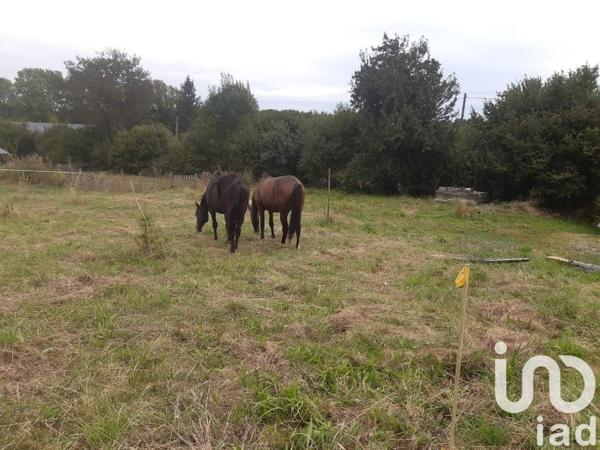 Maison rustique 7 pièces de 250 m² à Mérinchal (23420)