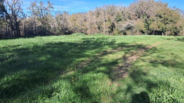 Terrain à vendre de 2 000,00 m² proche de LANZAC (46)