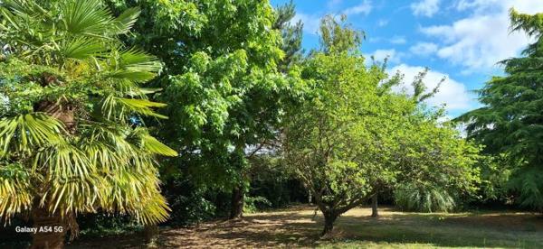 Maison individuelle Conlie 153 m²