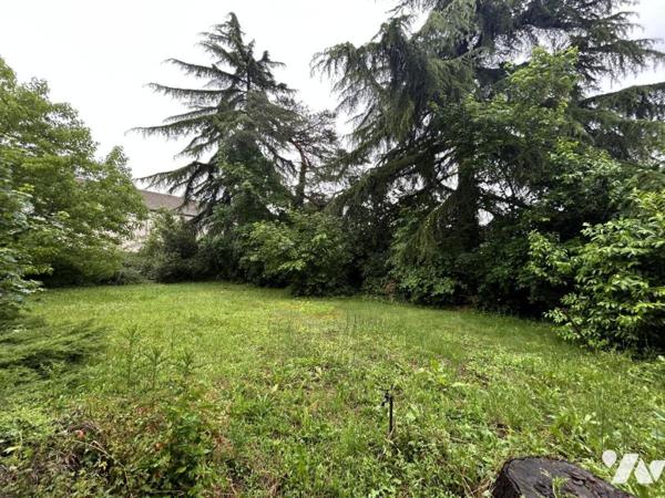 Centre Seurre (Côte d'Or) - Très belle demeure en de caractère XIXème 