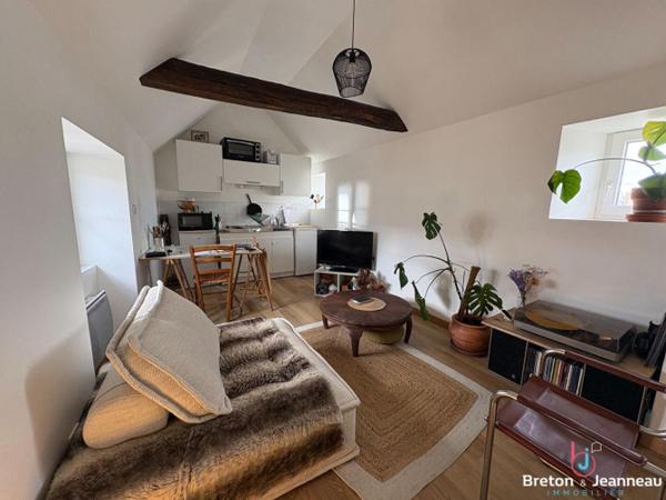 Appartement T2 - Laval - Centre ville Rive gauche
