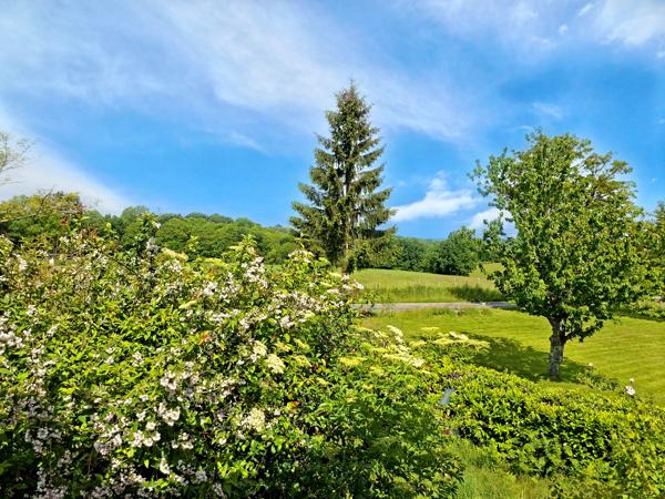 Maison à vendre à Champagnac-la-Rivière (87150) - Haute-Vienne