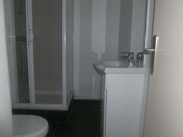 Location Appartement 2 pièces 42.6 m² - 29 RUE DES CHAMPS ELYSEES Grenoble 38100