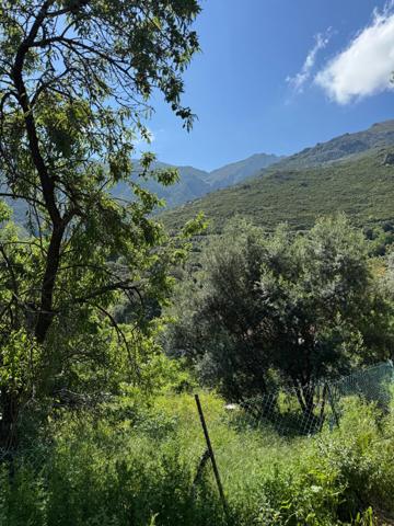 Terrain à vendre à OCCHIATANA (20)