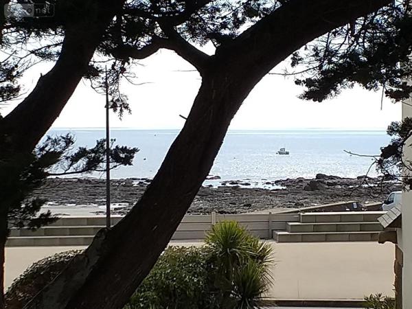 Maison à vendre à Carnac dans le Morbihan (56340), ref : 56005-779