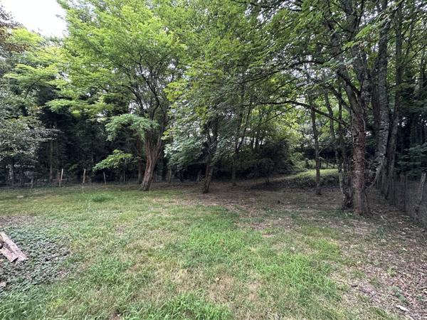 MESCHERS/GIRONDE - TERRAIN A BATIR A 500m PLAGE