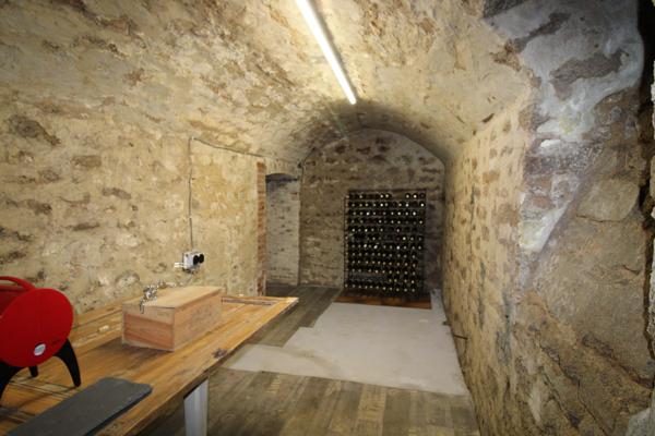 Chateau à vendre à Châteauponsac (87290) - Haute-Vienne