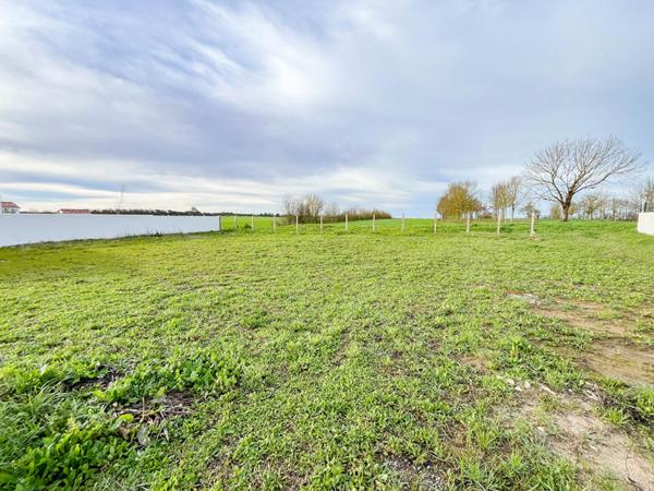 TERRAIN DOMPIERRE SUR MER