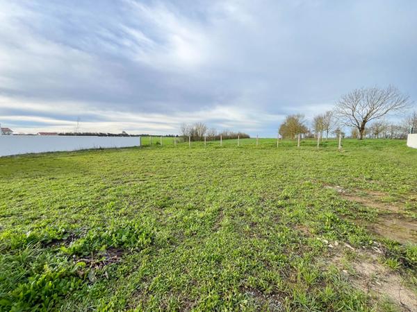 TERRAIN DOMPIERRE SUR MER