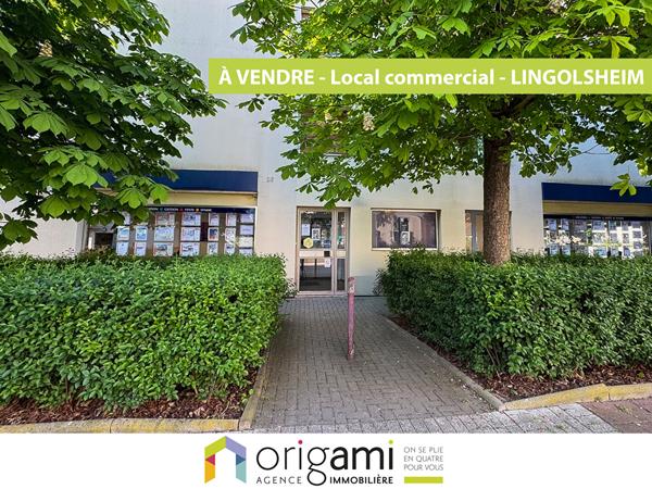 Nouveauté ORIGAMI en EXCLUSIVITÉ sur LINGOLSHEIM - Spécial Investisseurs Lingolsheim Nouveauté ORIGAMI en EXCLUSIVITÉ sur LINGOLSHEIM - Spécial Investisseurs Lingolsheim
