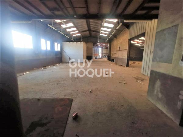 LOCAL D'ACTIVITE (BUREAU + ENTREPRÖT+ TERRAIN) 50530 Bacilly