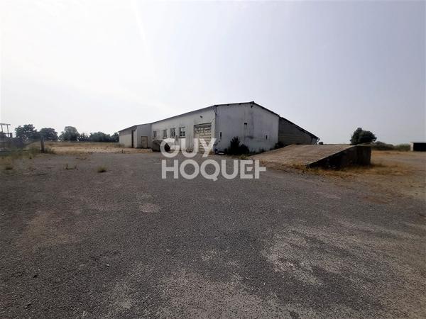 LOCAL D'ACTIVITE (BUREAU + ENTREPRÖT+ TERRAIN) 50530 Bacilly