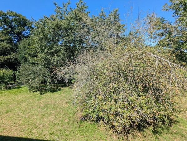 Vente Maison 5 pièces 91 m2 à Josselin