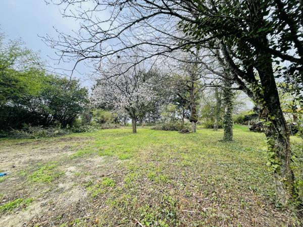 Beaumont saint-cyr (86490) TERRAIN CONSTRUCTIBLE